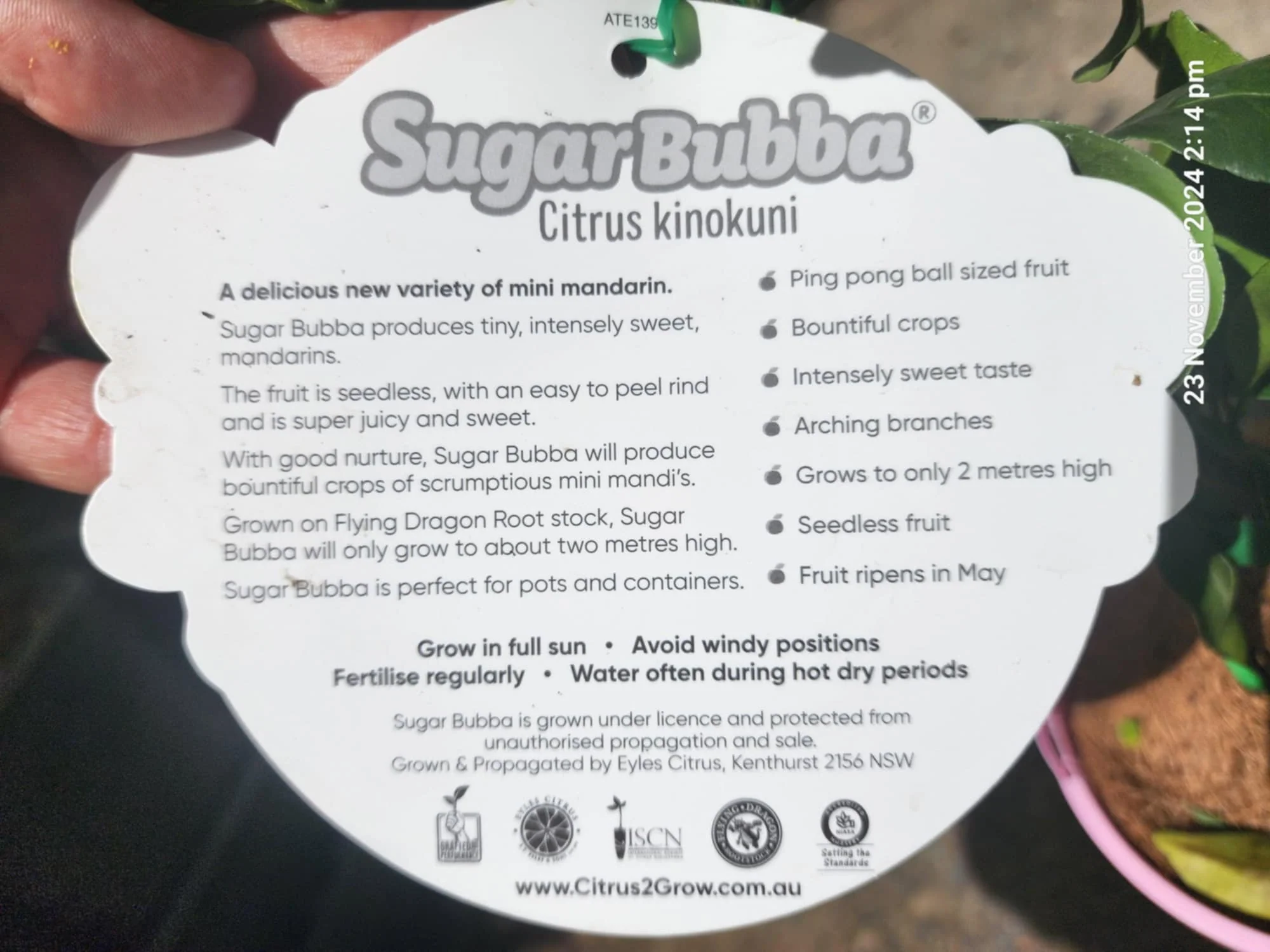 Product image 4