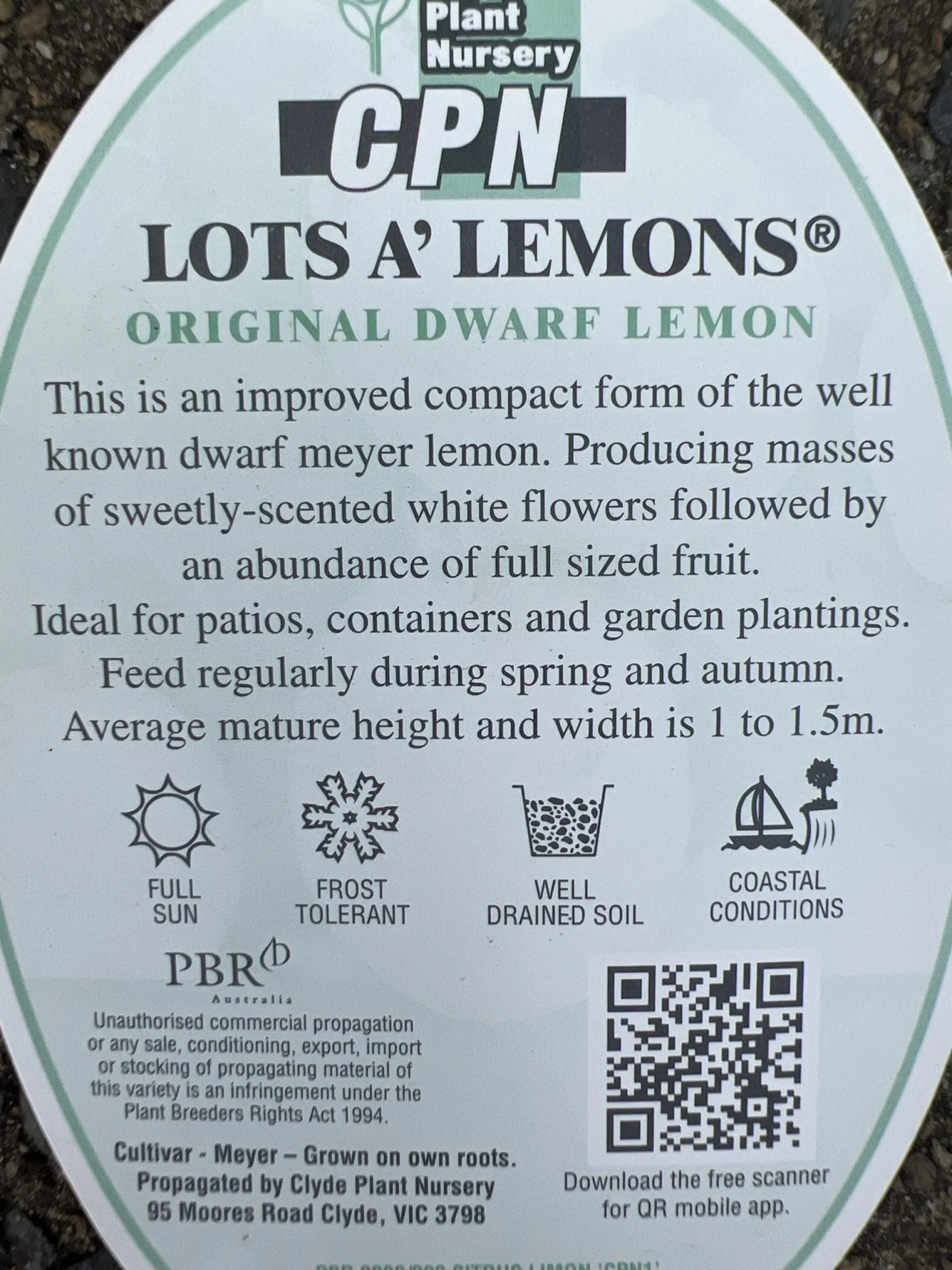 Product image 3